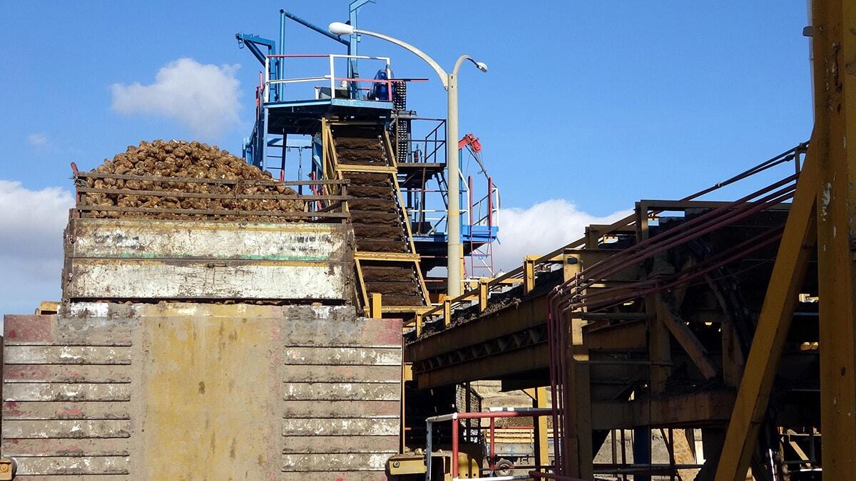 Şeker fabrikasında 220 bin ton pancar işlenecek