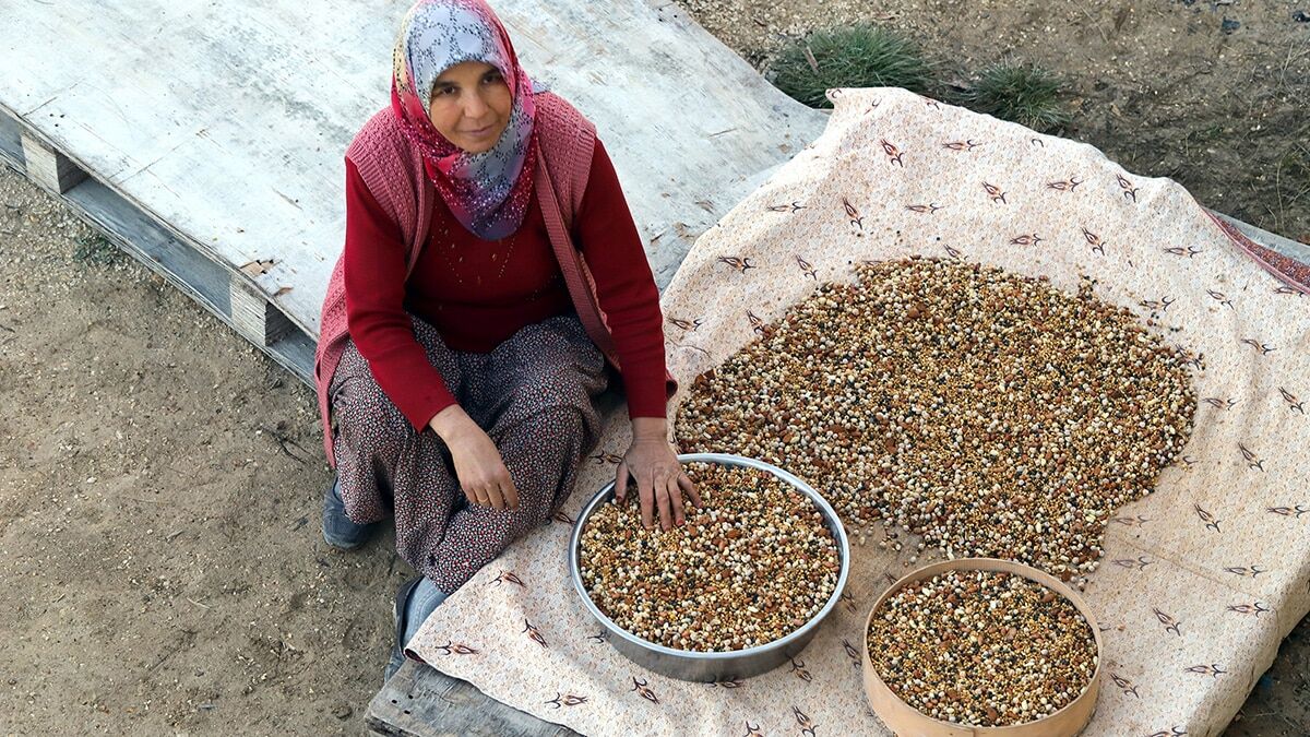 Kavurgaya yılbaşı öncesi yoğun talep