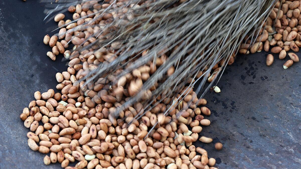 Kış aylarında yemişlerin geleneksel yöntemlerle kavrularak elde edilmesi ile hazırlanan kavurgaya yılbaşı öncesi yoğun talep.