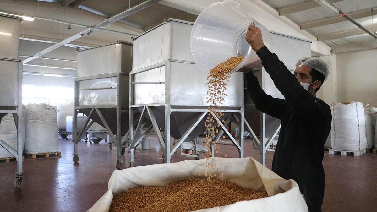 Kuru yemişte yüzde 400 talep patlaması