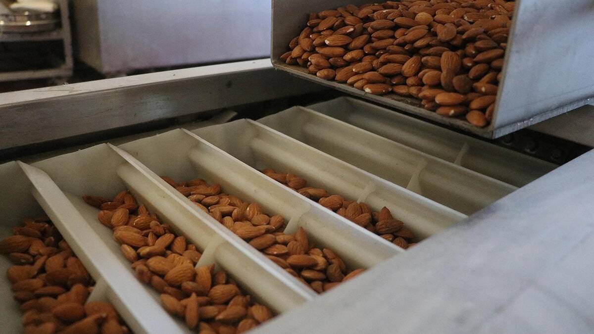 Kuru yemişte yüzde 400 talep patlaması