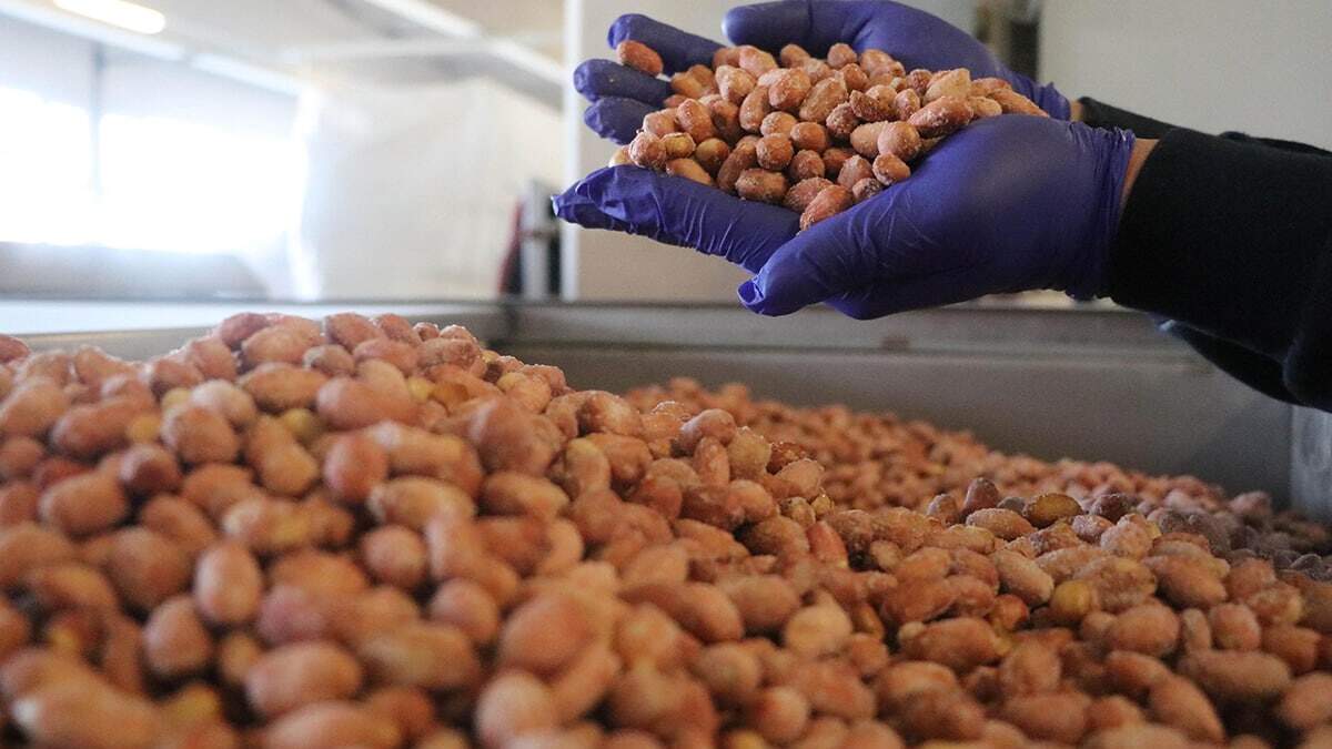 Koronavirüs önlemleri kapsamında, sokağa çıkma kısıtlamasında halkın yılbaşını evlerinde geçirecek olması nedeniyle kuru yemiş üreticileri, yüzde 400'lere varan talebi karşılamak için 24 saat aralıksız çalışmaya başladı.