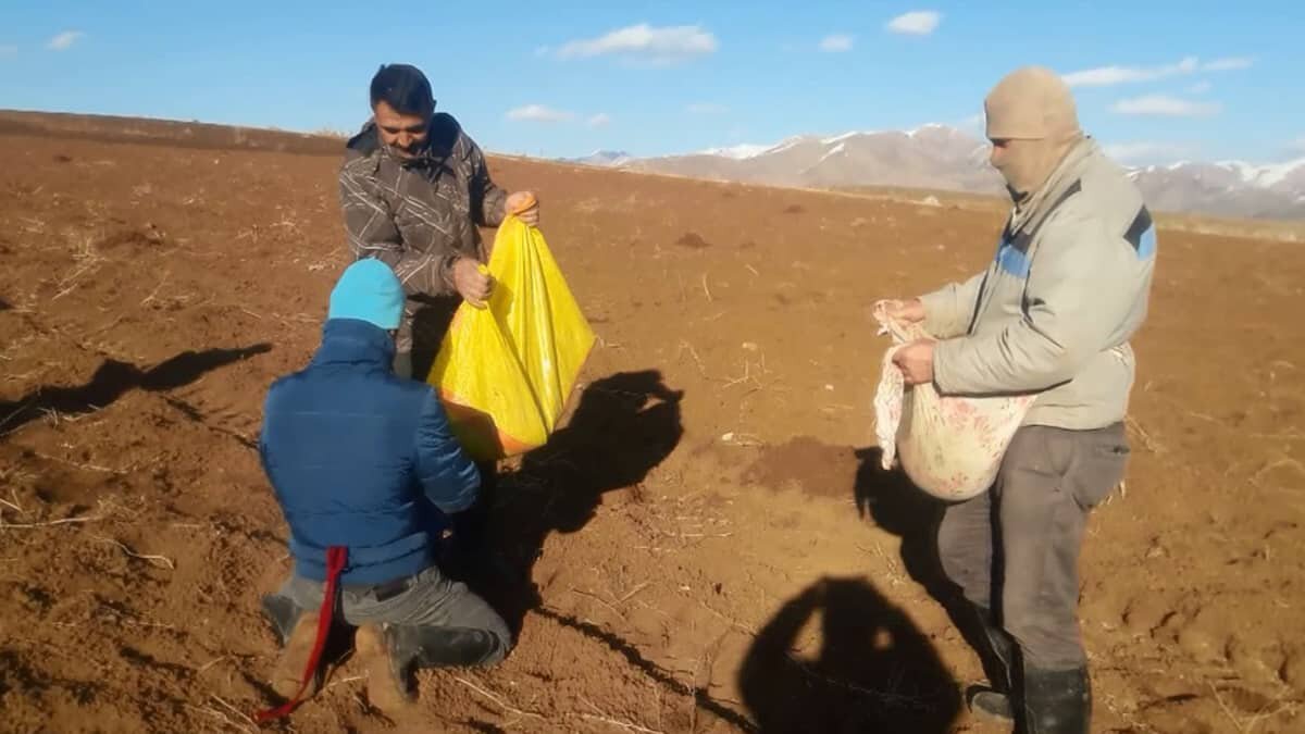 Kuraklıktan nasibimizi alıyoruz