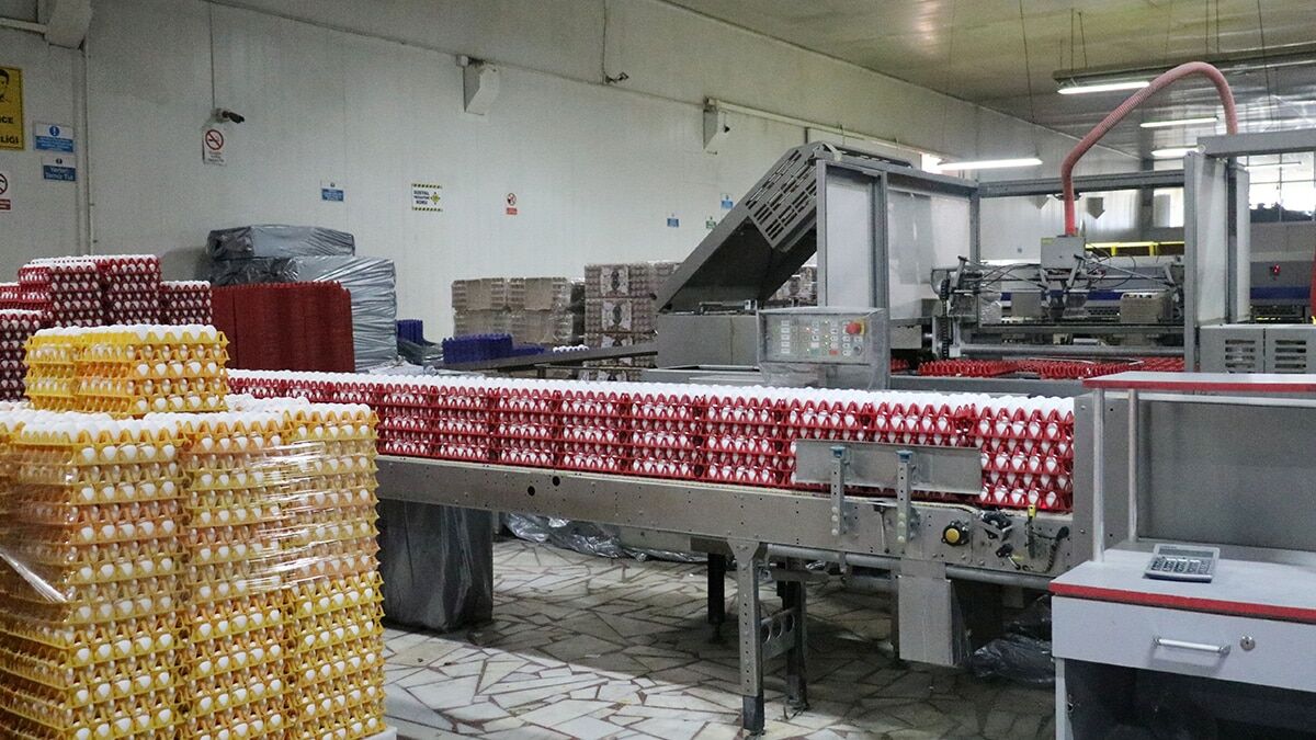 Afyon Yumurta A.Ş. Yönetim Kurulu Üyesi İsmail Genç, yumurtanın tanesini 60 kuruştan sattıklarını belirterek "Yumurtada fahiş fiyatın sorumlusu aracılar" dedi.