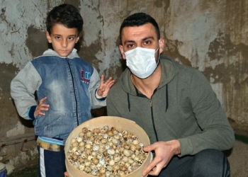 8 bıldırcınla çiftlik kurdu