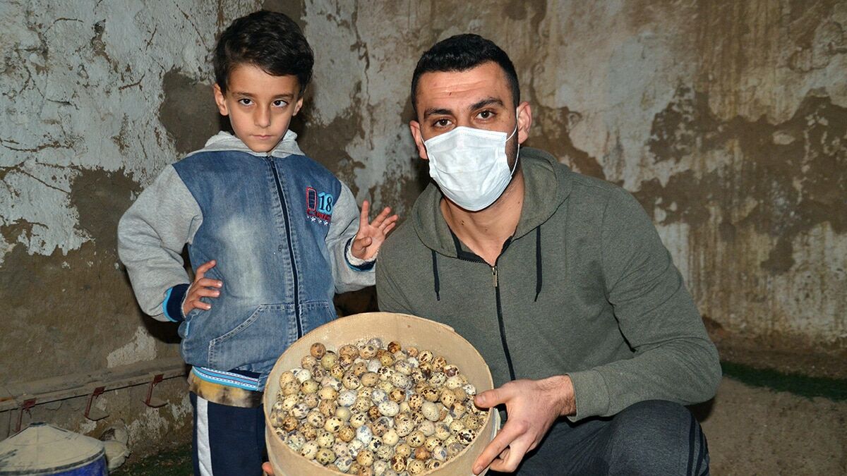 8 bıldırcınla çiftlik kurdu