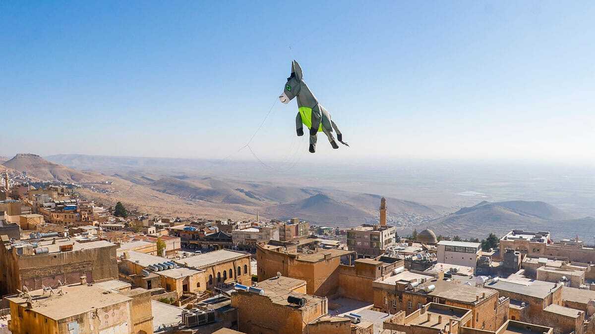 Belediyenin kadrolu eşekleri Mardin semalarında