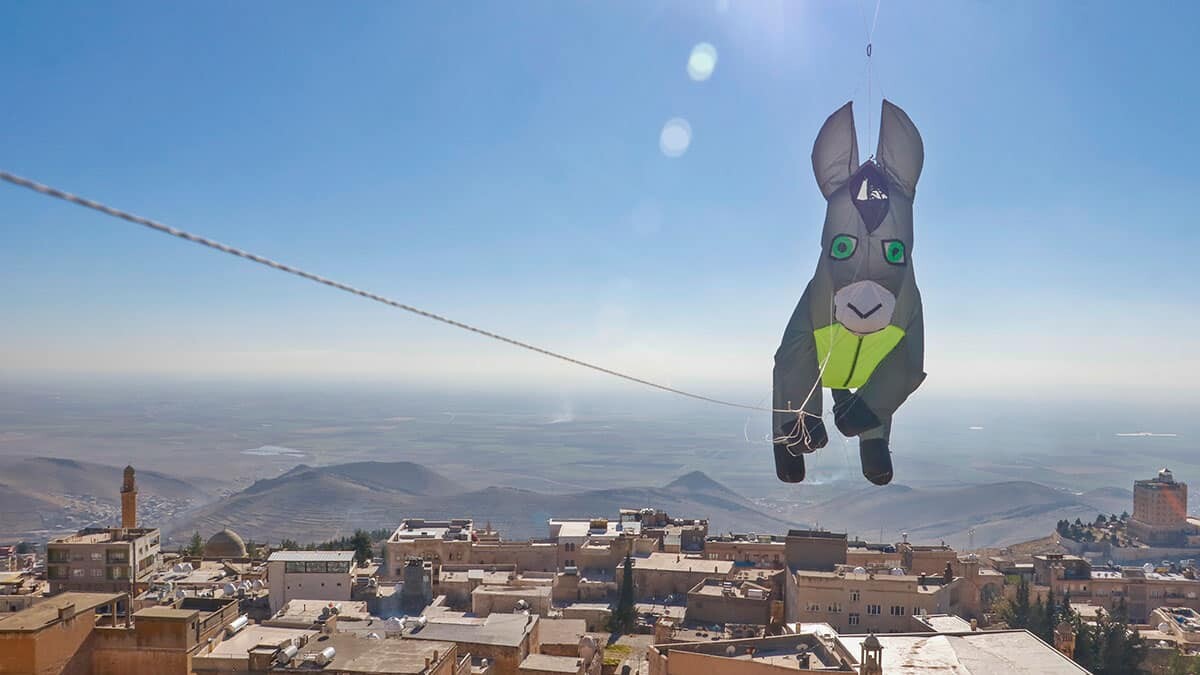 Belediyenin kadrolu eşekleri bütün çöplerimizi sırtlarında taşıyor. Onlara vefa borcumuz var