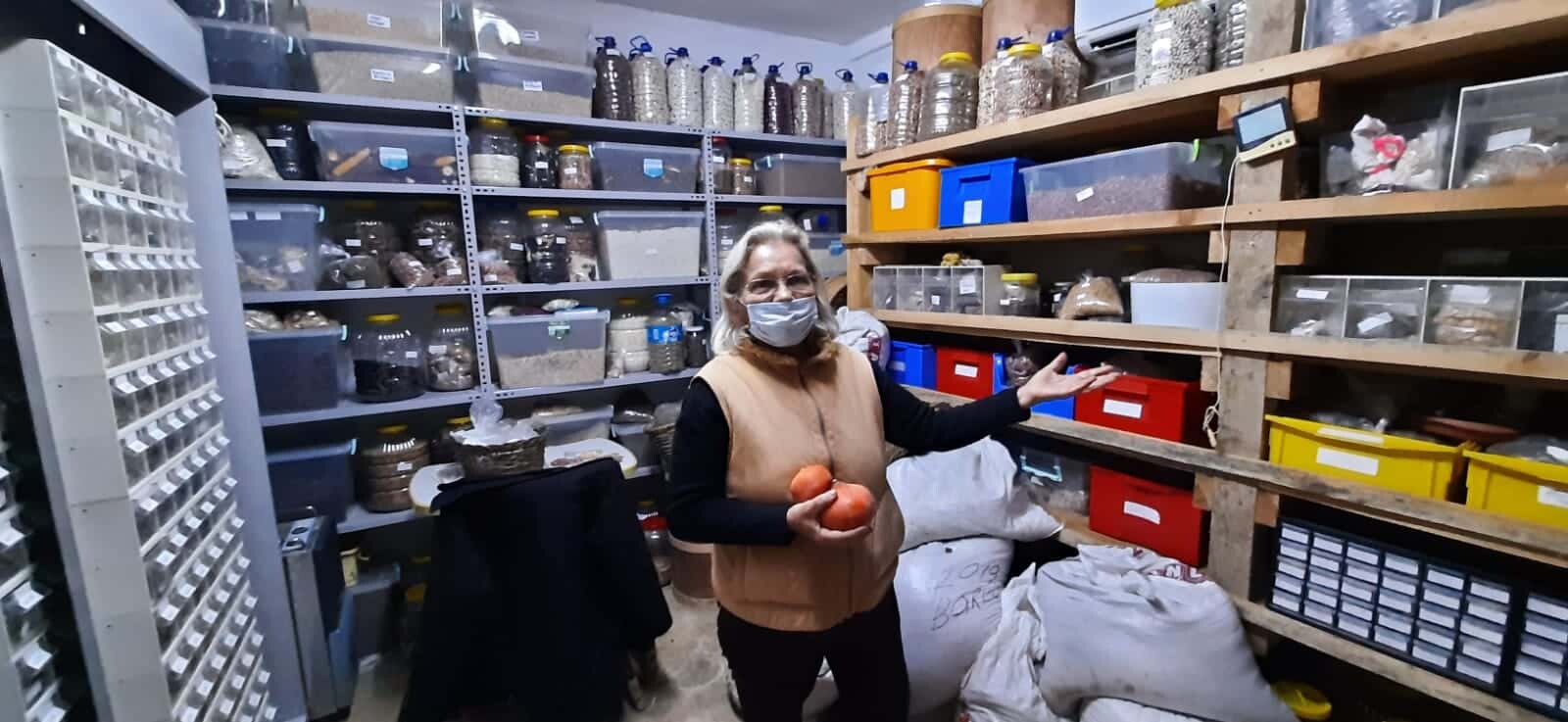 Kocaeli'nin Kandıra ilçesinde, emekli öğretmen Nardene Kuşçu (66), 60 yılda bin 200 çeşit ata tohumu topladı.