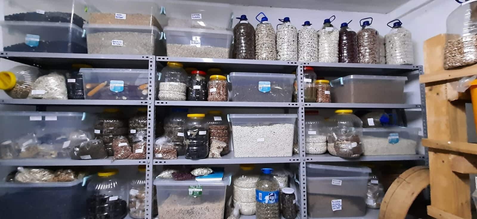 60 yılda bin 200 çeşit ata tohumu topladı