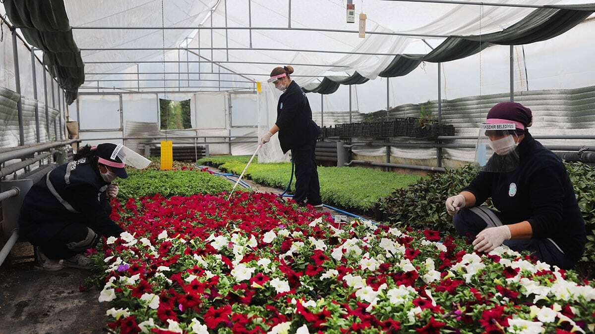 Büyükşehir yeni ağaçlar dikerek yeşil alanları arttırdı