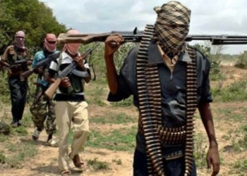 Boko Haram Kamerun'un kuzeyine saldırı düzenledi