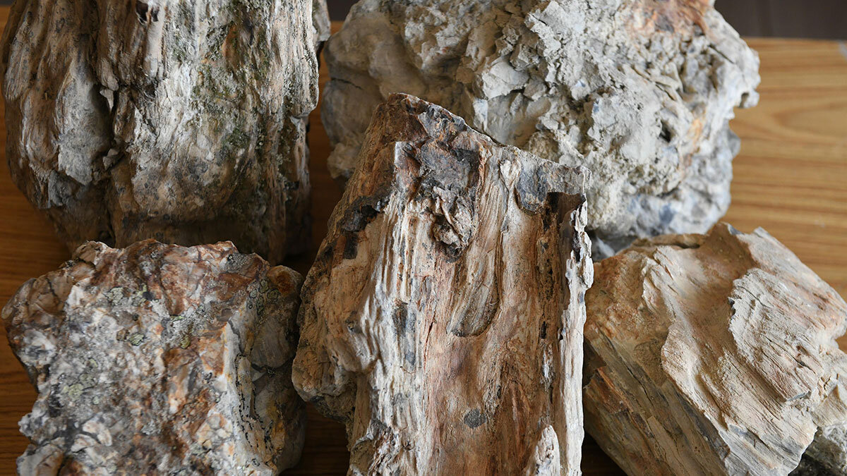 Başkent'te Jeopark alanları gün yüzüne çıkıyor