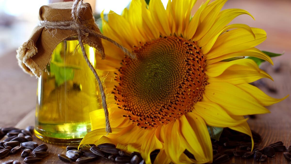 3 milyon ton ayçekirdeği üretmemiz lazım