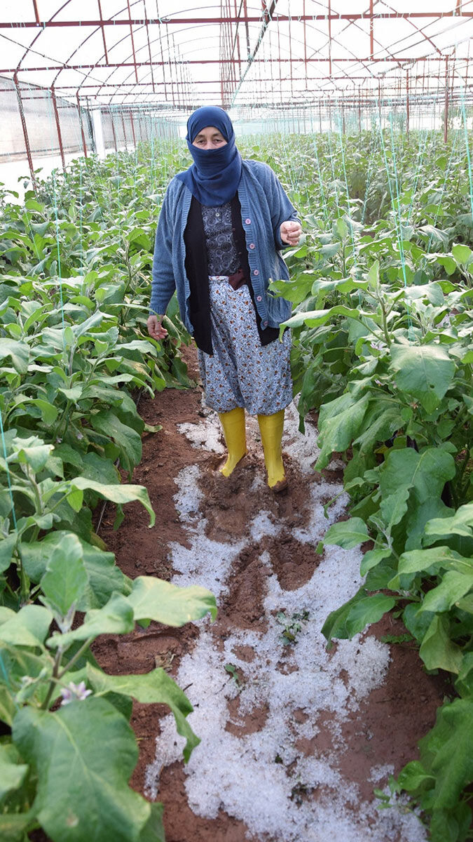 Aşırı yağış ve dolu nedeniyle bazı seraların plastik örtüleri çöktü, bazı seralarda da su baskını oluştu.