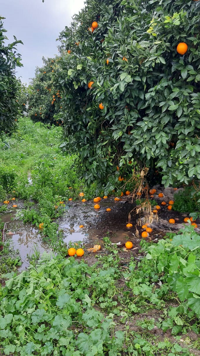 Dün akşamdan bu yana etkili olan ve gece yarısı şiddetini artıran Antalya'da yağmur ve fırtına hayatı olumsuz etkiledi.