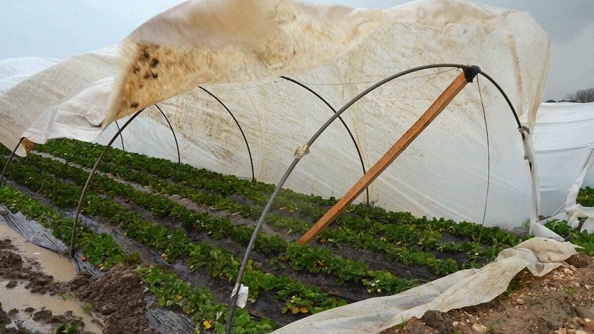 Antalya'da yağmur ve fırtına hayatı olumsuz etkiledi