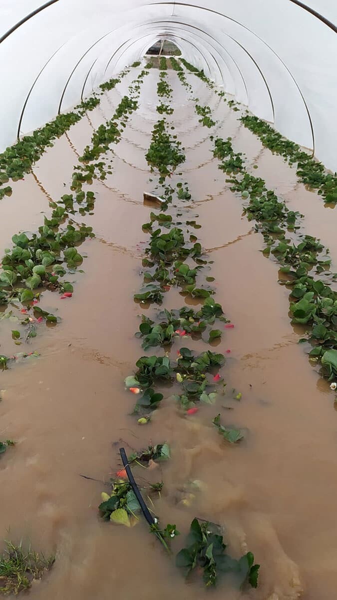 Antalya'da yağmur ve fırtına hayatı olumsuz etkiledi