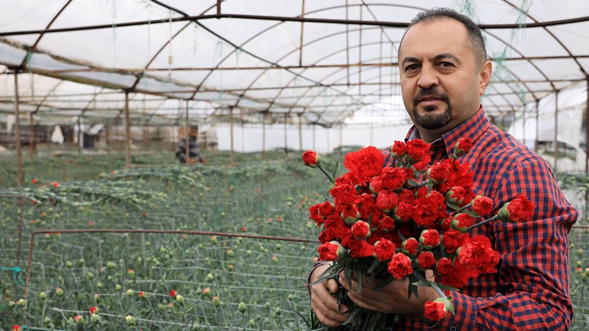 70 milyon dal kesme çiçek Avrupa'ya gönderildi