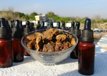 Propolis'in litresi 10 bin TL'den satılıyor