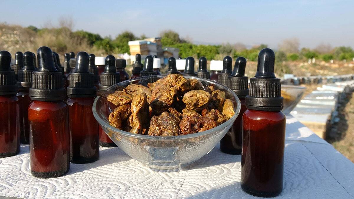 Propolis'in litresi 10 bin TL'den satılıyor