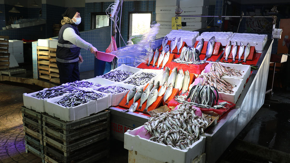 Samsun'da tezgahları bol miktarda avlanan hamsi doldururken; balıkçılar hamsinin irileşmesi ve yağlanması için kar yağmasını bekliyor.