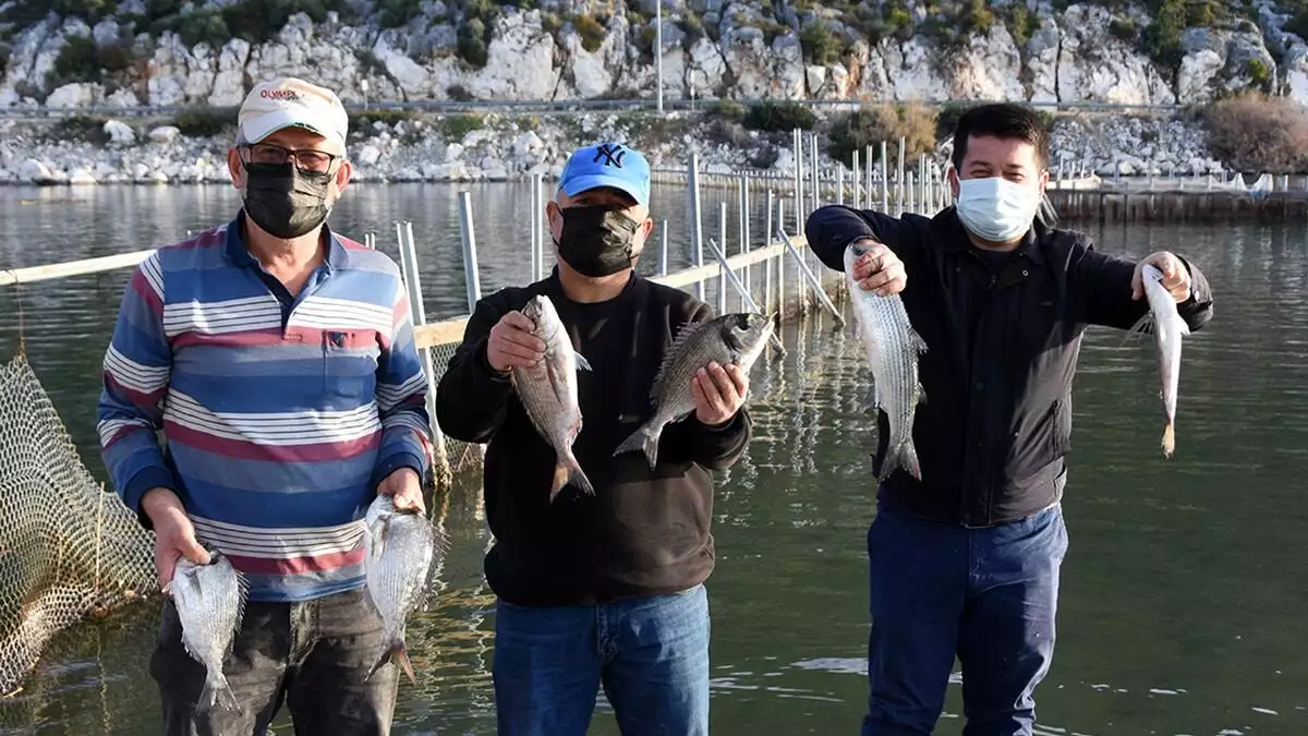 Birçok balık ve kuş türü ile 2 tür deniz kaplumbağası ve mavi yengeçlerin yaşam alanı olarak bilinen beymelek dalyanı'nda 25'in üzerinde balık türü bulunuyor.