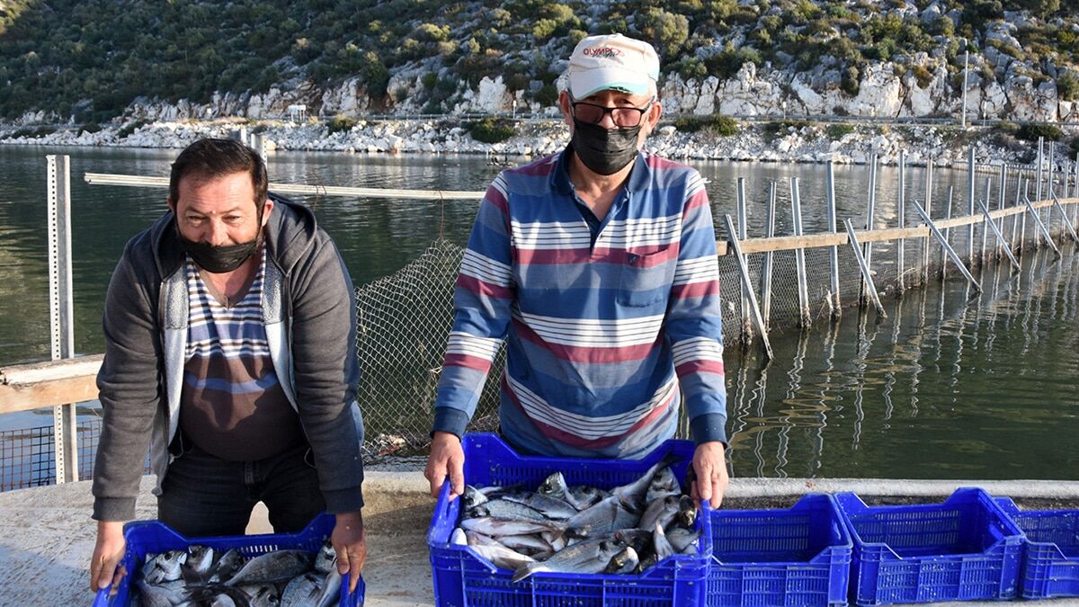 Beymelek Dalyanı'nda 25'in üzerinde balık türü var