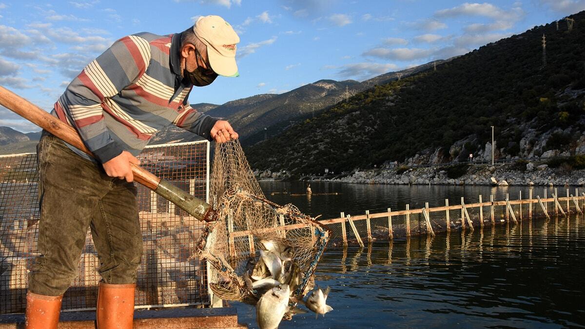 Beymelek Dalyanı'nda 25'in üzerinde balık türü var