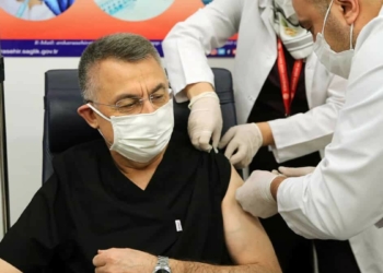 Cumhurbaşkanı Yardımcısı