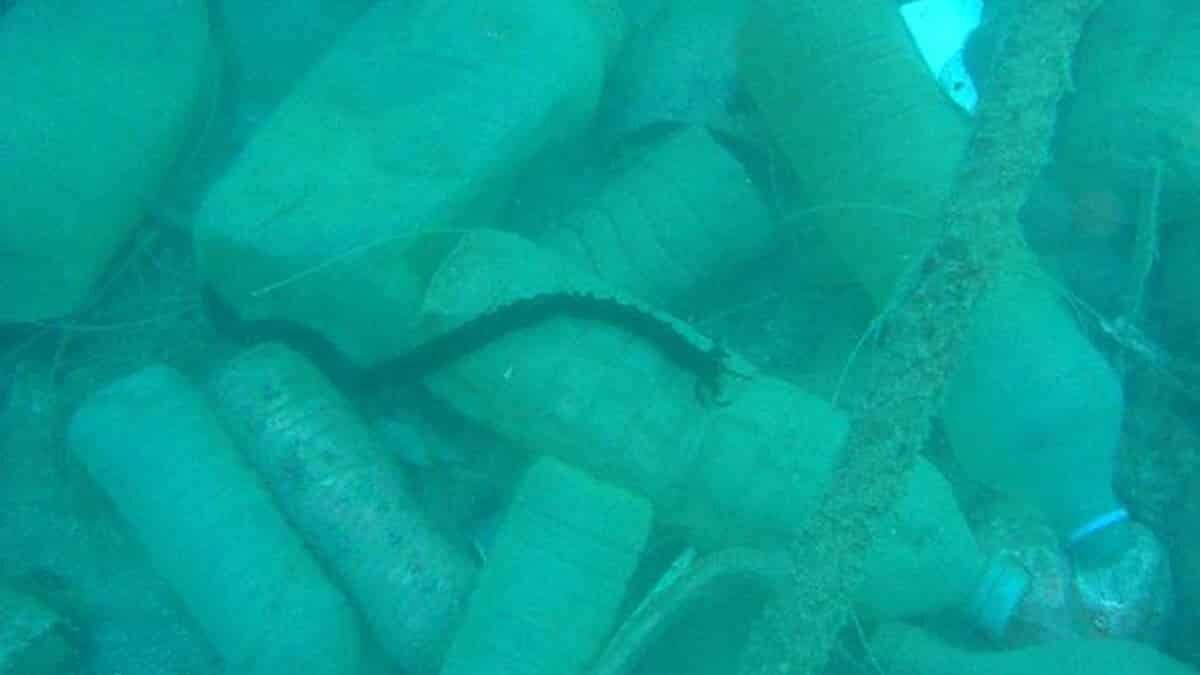 Öğrenciler deniz dibinde oluşan kirliliği görüntüledi