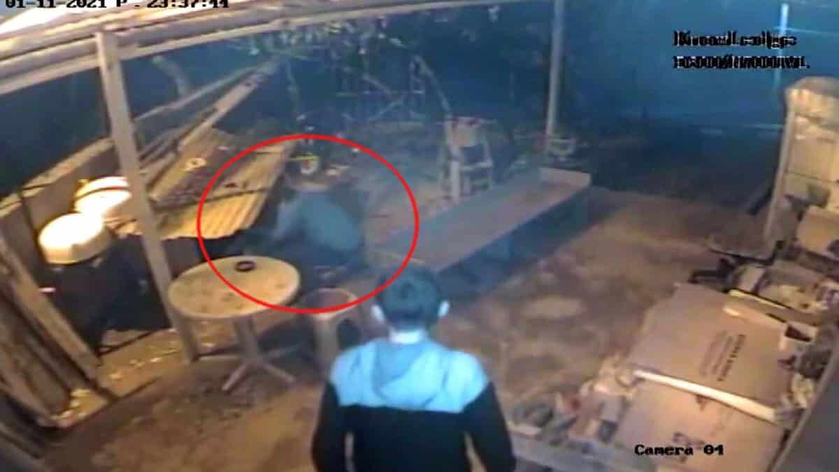 İzmir'in Karabağlar ilçesinde yaşayan Derya Durmaz Çalınan köpeği 'Zeytin'i bulana ödül verecek.