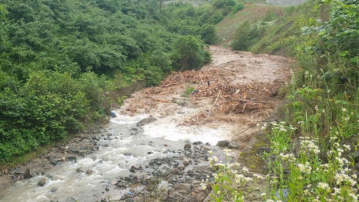 Doğu Karadeniz'de şiddetli sağanak yağışlarla birlikte yaşanan, can ve mal kaybına neden olan taşkınların önüne geçilebilmesi için çalışma yürütülüyor.