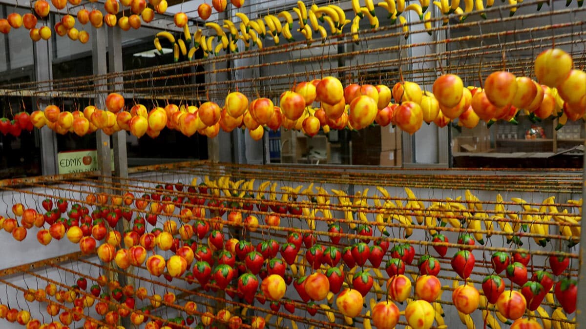 El emeği sabun üretimini teknolojiyle buluşturan Can Ürenli, Amerika, Rusya, Almanya gibi ülkelere meyve sabunu ihraç ettiklerini söyledi.