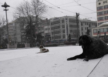Eskişehir beyaza büründü