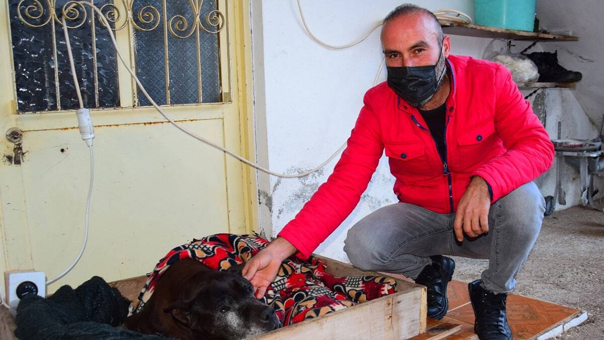 Sabri Demiröz, "Canını veren Allah, canını ben vermediğim için ben alamam. Ben köpeğim ölünceye kadar bu şekilde bakmaya devam edeceğim" dedi.