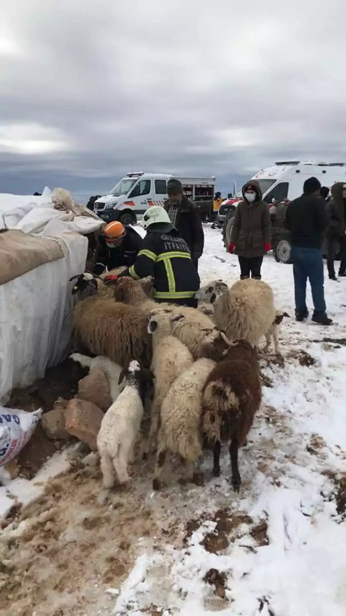 Çöken ağılın altında kalan ayşe teyze kurtarıldı