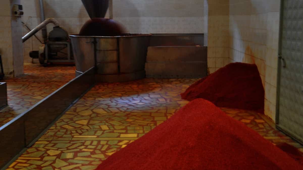 Gaziantep'in İslahiye ilçesinde üretilen pul biber, kırmızı altın 25 ülkeye ihraç ediliyor.