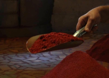 Kırmızı altın 25 ülkeye ihraç ediliyor