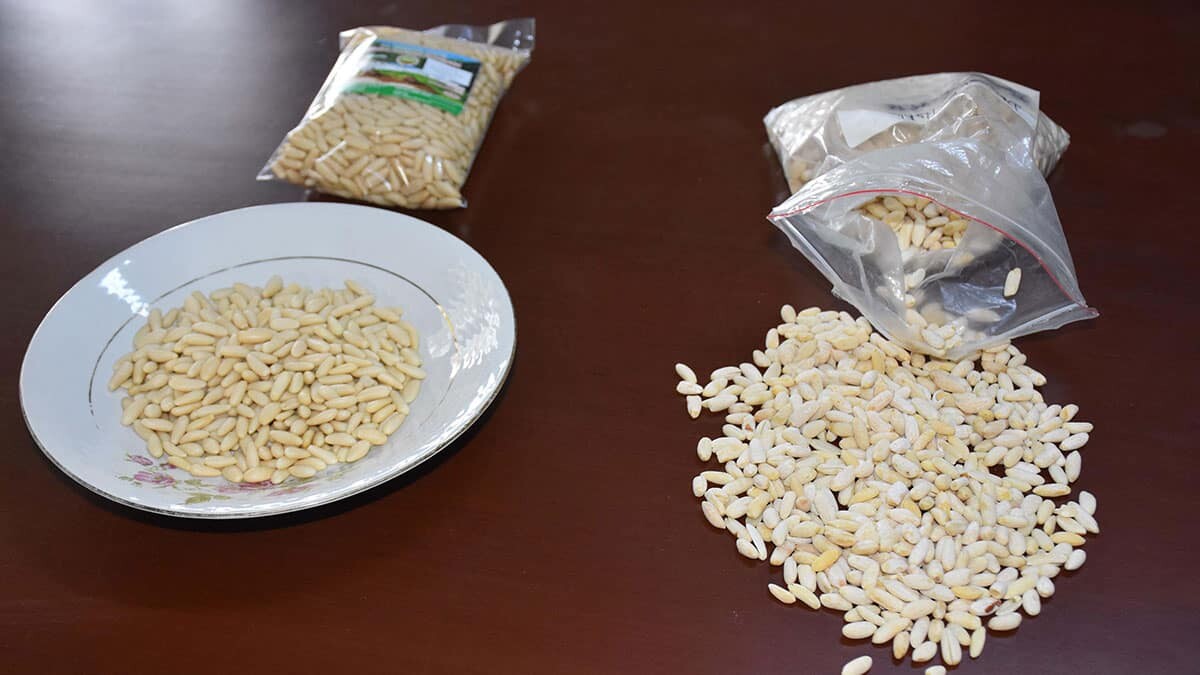 Sahtekarlar yer fıstığını çam fıstığı gibi satıyor