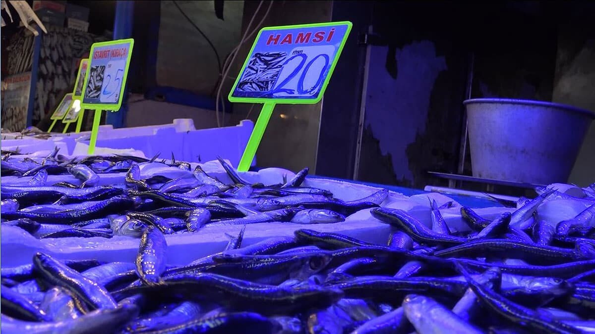 Hamsi avı yasağı uzadı, tezgahları farklı balıklar süsledi