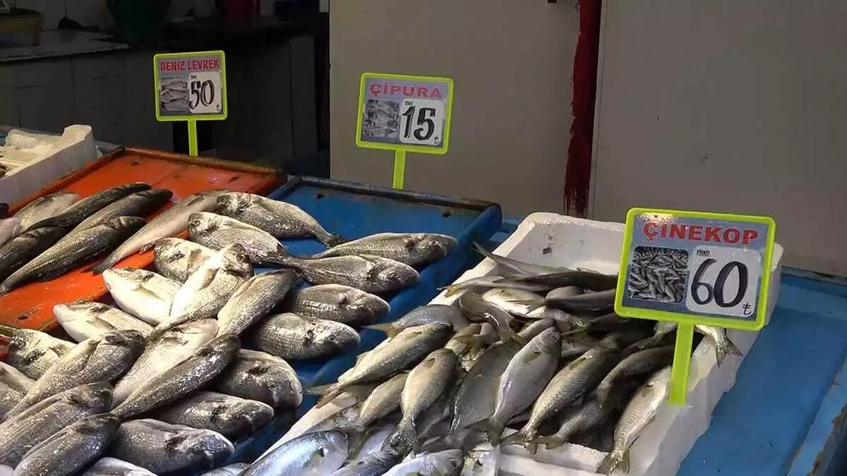 Hamsi avı yasağı uzadı, tezgahları farklı balıklar süsledi