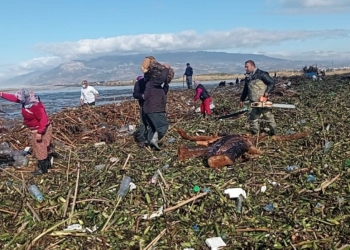 Hatay'da sağanak ve hortum hayatı olumsuz etkiledi