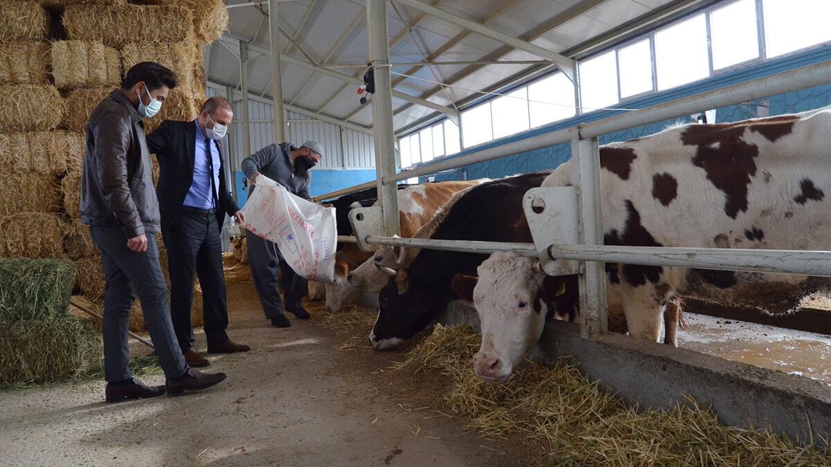Hibe desteğiyle 500 litre süt üretmeye başladı