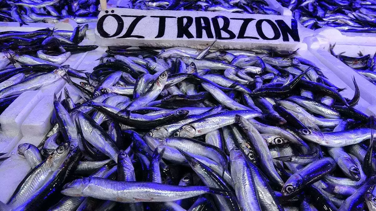 Trabzon'da, hamsi avı yasağı uzayınca, hamsinin balıkçı tezgahlarındaki yerini istavrit, çupra, sarıkanat, çinekop, levrek, somon gibi balıklar aldı.