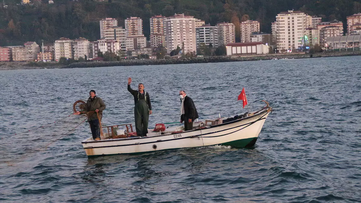 Hamsi avına 10 gün yasak getirildi