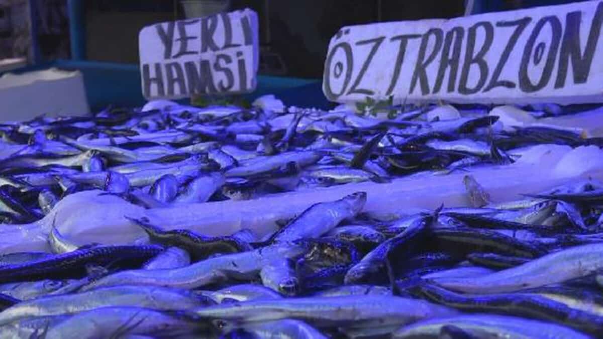 Trabzon'da geçen yıl 3 ülkeye 334 ton hamsi ihraç edilerek, 499 bin 662 dolar gelir elde edildi. En fazla hamsi satılan ülke Almanya oldu.