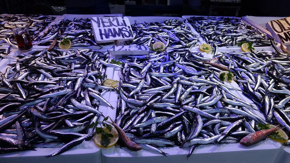 En fazla hamsi satılan ülke Almanya