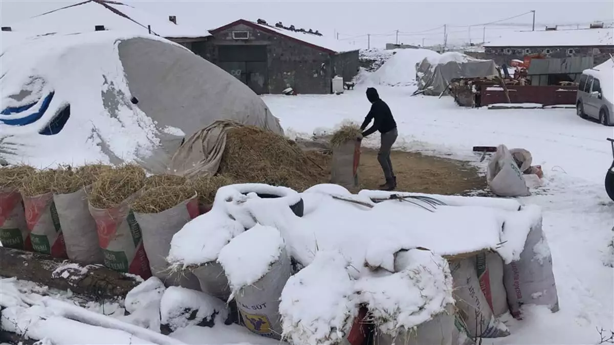 Karla kaplı köylerinde yaşam mücadelesi