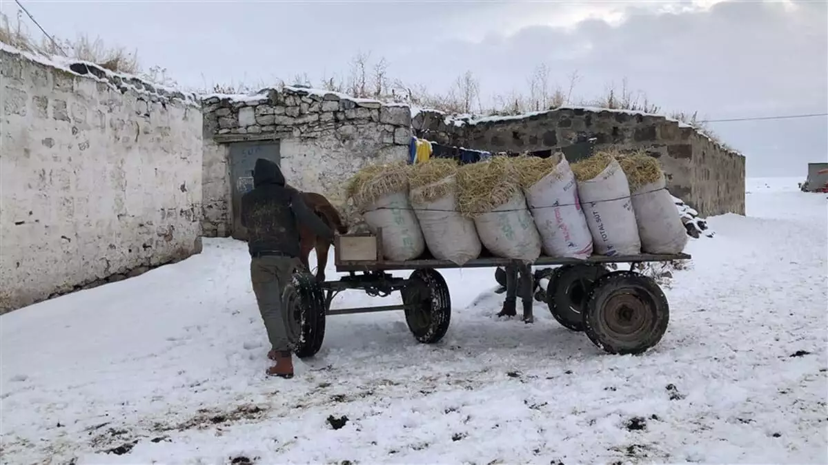Karla kaplı köylerinde yaşam mücadelesi